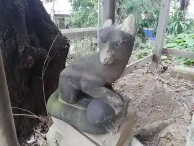 杉山社（帷子町杉山社・久保杉山神社）の狛犬