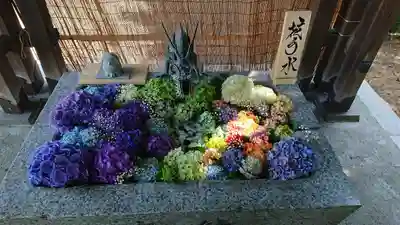 札幌諏訪神社の手水舎