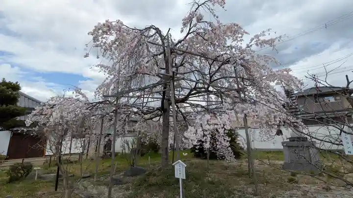 橋寺 放生院(京都府)