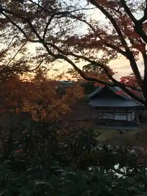 高台寺（高台寿聖禅寺・高臺寺）(京都府)