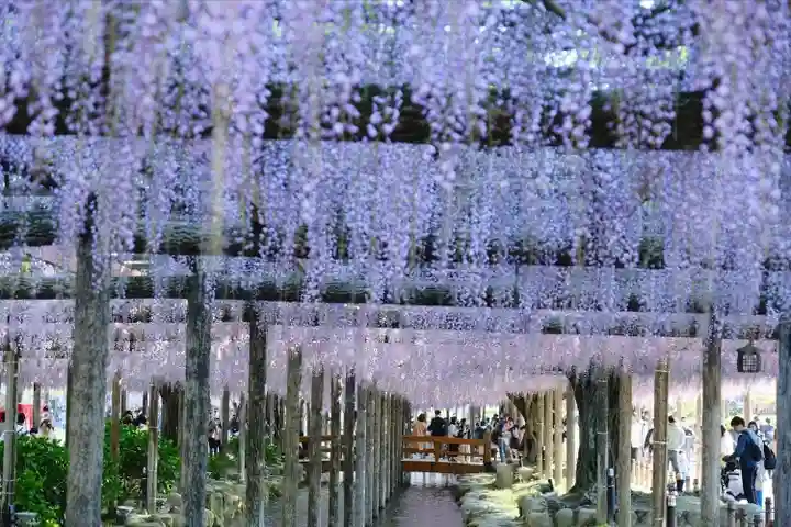 津島神社の周辺