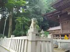 須賀神社の狛犬