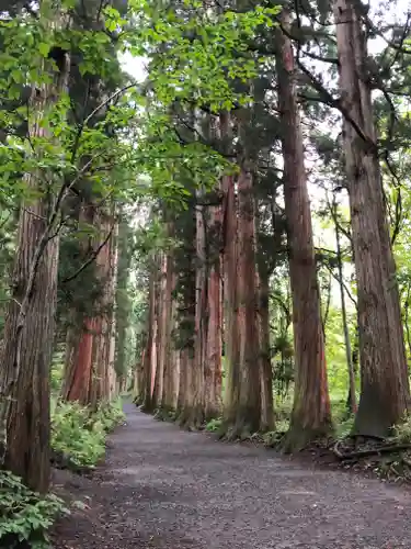 戸隠神社奥社の自然