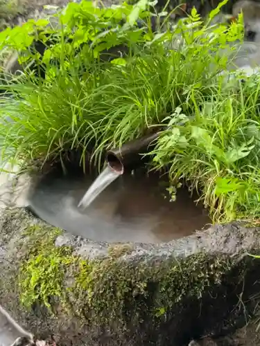 諏訪大社上社前宮(長野県)