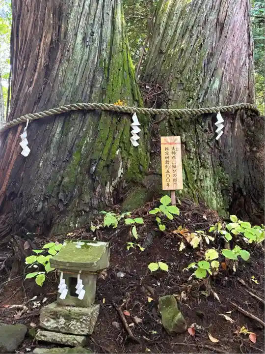 戸隠神社火之御子社(長野県)