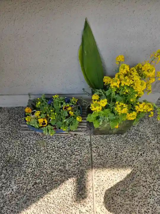 蓮馨寺の{uncategorized: "未分類", other: "その他", undefined: "問題あり", building: "その他建物", grave: "お墓", sacred_gate: "鳥居", guardian: "狛犬", statue: "像", buddha: "仏像", history: "歴史", nature: "自然", garden: "庭園", animal: "動物", pagoda: "塔", temizu: "手水舎", mountain_gate: "山門・神門", sanctuary: "本殿・本堂", subordinate: "末社・摂社", art: "芸術", scenery: "景色", jizo: "地蔵", ema: "絵馬", goshuin: "御朱印", omikuji: "おみくじ", items: "授与品その他", amulet: "お守り", goshuincho: "御朱印帳", eats: "食事", festival: "お祭り", votive_dance: "神楽", shichigosan: "七五三参", wedding: "結婚式", experience: "体験その他", initially: "初詣", around: "周辺", anti_infection: "感染症対策"}