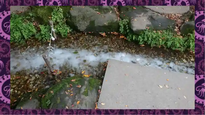 川越氷川神社(埼玉県)