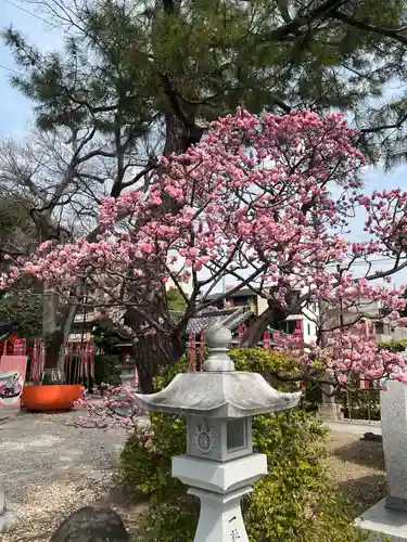 種貸社（住吉大社末社）(大阪府)