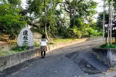 蓮教寺の山門・神門