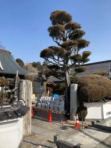 自元寺の山門・神門