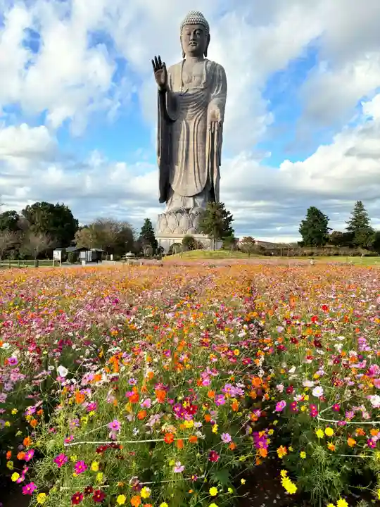 東本願寺本廟 牛久浄苑(牛久大仏)(茨城県)
