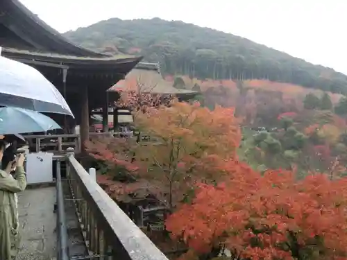 清水寺(京都府)
