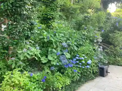 無量寺(神奈川県)