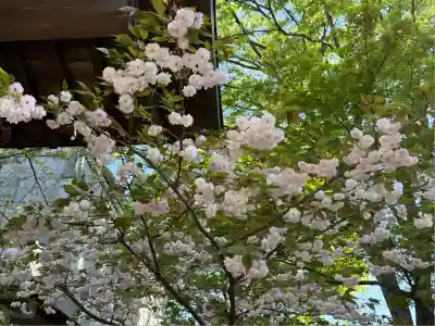 蓮馨寺(埼玉県)
