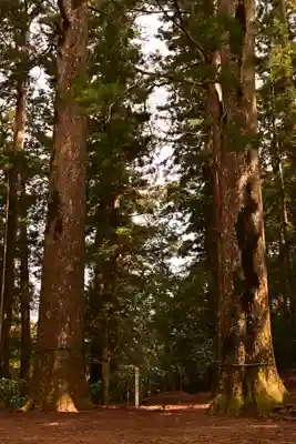 杉原神社(高知県)
