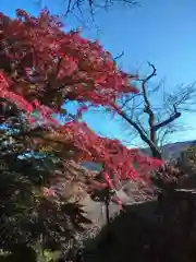 長谷寺の自然