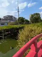 亀戸天神社(東京都)