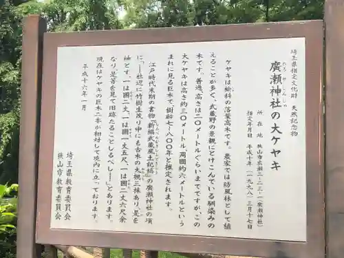 廣瀬神社の歴史