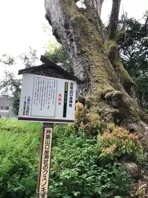 忍坂山口坐神社(奈良県)
