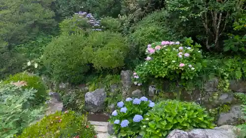 岡寺（龍蓋寺）(奈良県)
