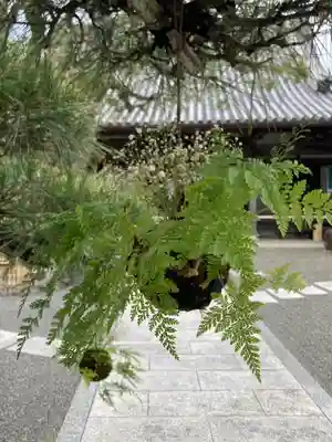 多聞寺のその他建物