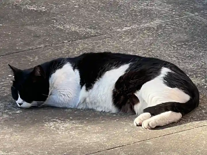 白金氷川神社(東京都)