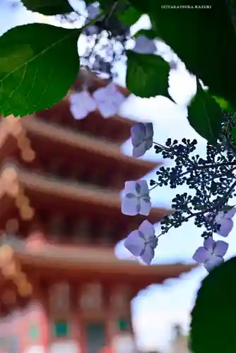 高幡不動尊　金剛寺(東京都)