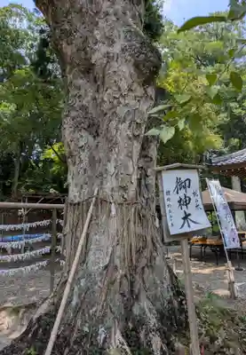 小御門神社(千葉県)