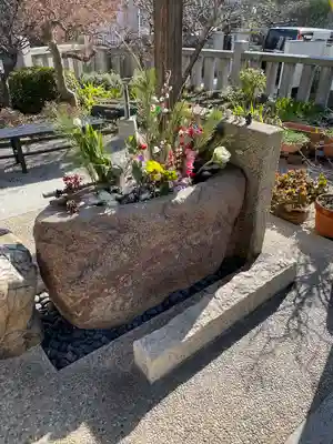 水堂須佐男神社(兵庫県)