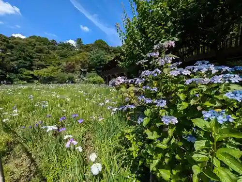 本土寺の庭園