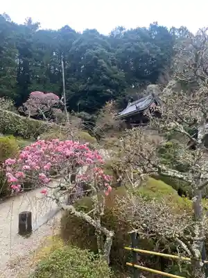 船宿寺の自然