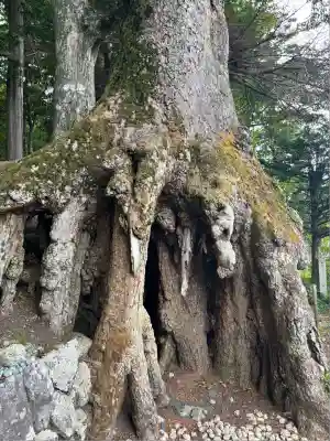 富士山東口本宮 冨士浅間神社(静岡県)