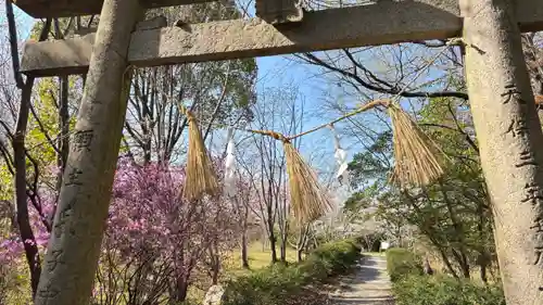 吉備津岡辛木神社(岡山県)