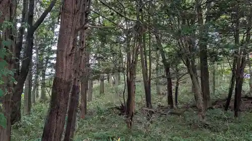 十勝神社の自然
