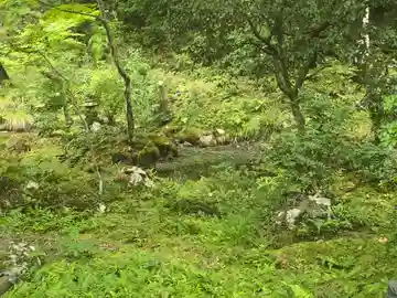 龍光院(大阪府)