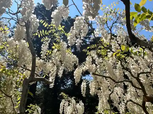 歌泉堂（春日大社神苑萬葉植物園内鎮座）(奈良県)