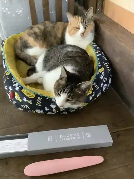 玉野御嶽神社の動物