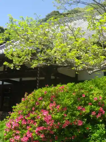 浄光明寺の自然