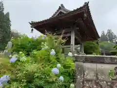 妙提寺の建物その他