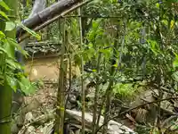 禅林院(滋賀県)