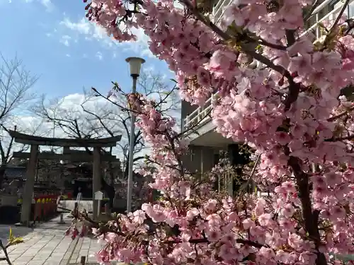 六孫王神社(京都府)