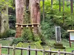 御岩神社(茨城県)