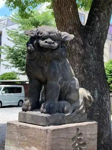 橘樹神社の狛犬