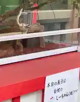 蛇窪神社のその他建物