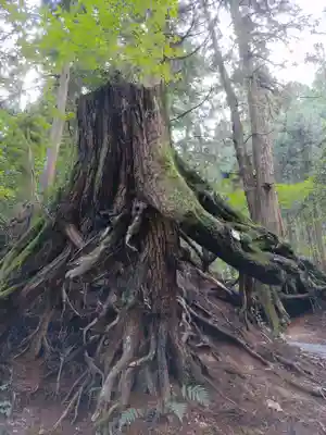 武蔵御嶽神社(東京都)