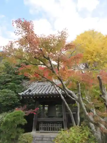 浄光明寺(神奈川県)