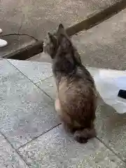 玉野御嶽神社の動物