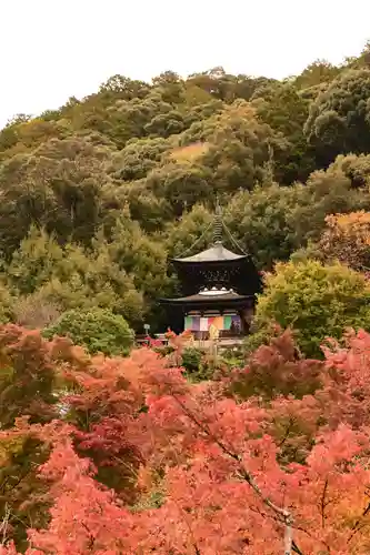 禅林寺（永観堂）(京都府)