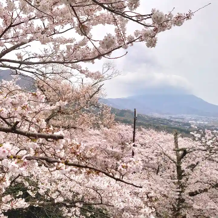 楽法寺(雨引観音)の自然