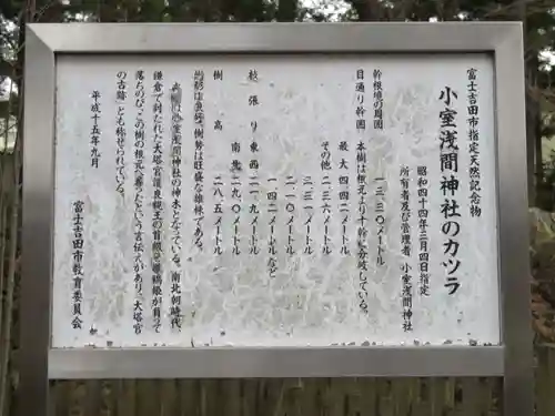 小室浅間神社の歴史